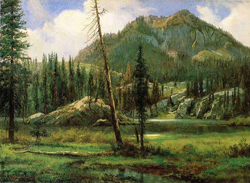 Albert Bierstadt Sierra_Nevada_Mountains Sweden oil painting art